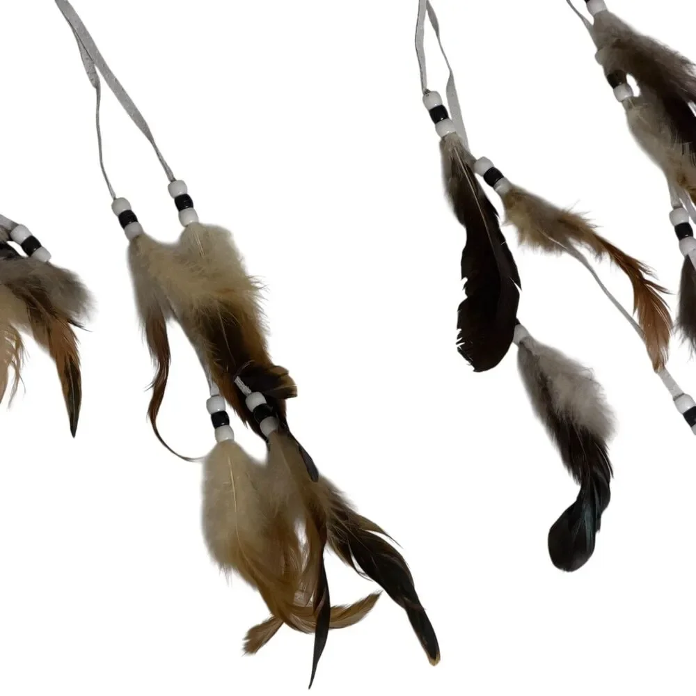 Bradford  Al Agnew Dream Catcher Songs Of The Summit Spirits Of The Pack